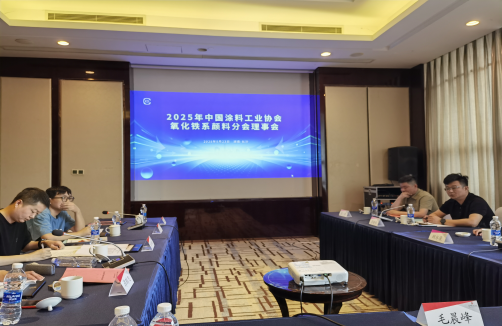 2025年中國涂料工業協會氧化鐵系顏料分會理事會報道175
