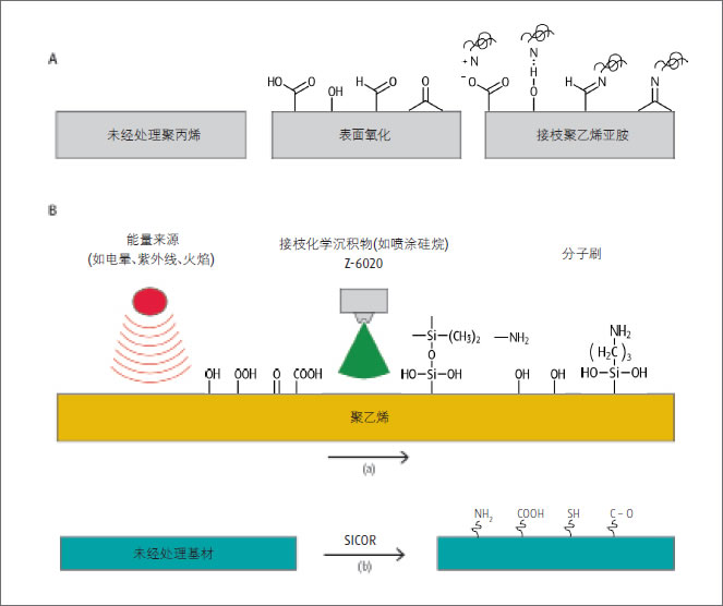 未命å?17.jpg 未命å?17.jpg